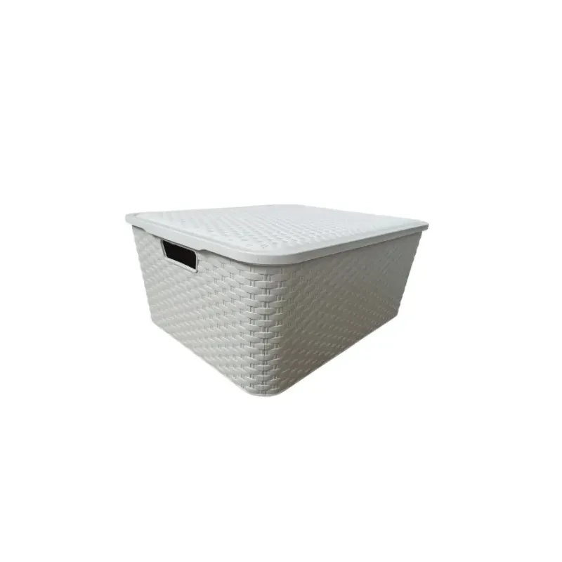 CAJA ORAGANIZADORA RATAN 75L CON TAPA N6