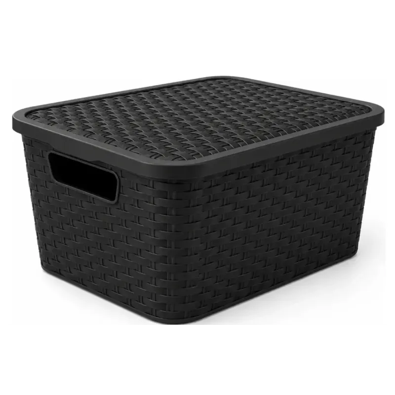 CAJA ORGANIZADORA RATAN 35L CON TAPA N4