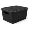 CAJA ORGANIZADORA RATAN 35L CON TAPA N4