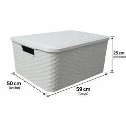 CAJA ORAGANIZADORA RATAN 75L CON TAPA N6