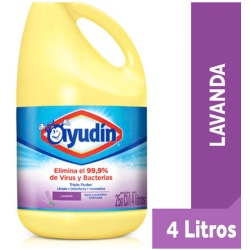 LAVANDINA AYUDIN FRAG X4L LAVANDA