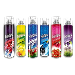 Silicona en aerosol Walker 400 ml | Olimpio